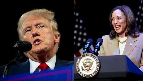 特朗普爆料哈里斯的视频,视频曝光惊人真相  第1张