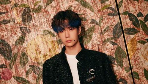 圈内小料爆料王一博,从流量小生到全能艺人,他的蜕变之路 第3张 圈内小料爆料王一博,从流量小生到全能艺人,他的蜕变之路 第3张