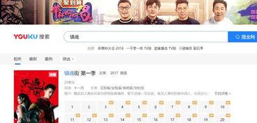 视频爆料小说网站,揭秘小说网站背后的秘密  第2张